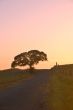 landscape silhouette