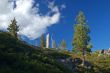 Mountain forest in spring