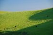 agricultural landscape