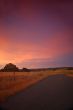 rural afternoon