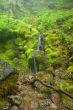 Waterfall in the forest