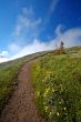 Trail in the mountains
