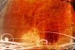 Great for textures and backgrounds