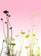 floral style textures