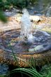 Fountain 3