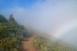 hiking trail in the mountains