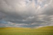 summer field