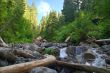 Stream in the forest
