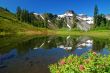 Peak Refelections