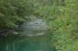 Stream in the forest