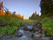 Stream in the forest