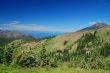 Mountain Meadow