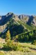 Mountain Meadow