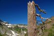 mountain views