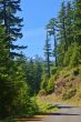 Mountain road