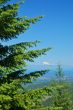 Mountain views