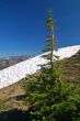 High in the Mountains