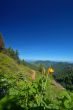 in the mountains