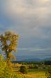 Stormy afternoon
