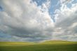summer field