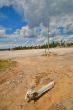 Yellowstone Geyser