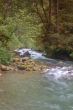 river in the forest