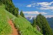 Trail in the mountains