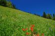 mountain landscape