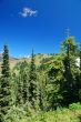 mountain landscape