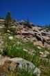 mountain landscape