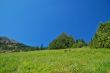 mountain landscape
