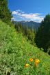mountain landscape