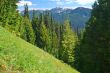 mountain landscape