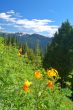 mountain landscape