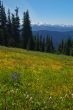 mountain landscape