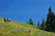 Hiking in the mountains