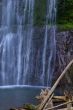 Waterfall in the forest