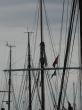 masts of the yachts