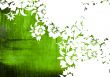 floral style backgrounds frame
