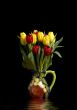 Tulips in Pitcher reflections