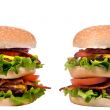 Hamburger Series (Twin Burgers)
