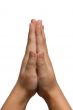 Praying Hands