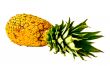 Isolated Pineapple