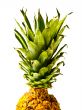 Isolated Pineapple Top