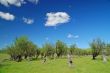 rural spring countryside