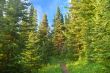 Scenic Mountain landscape