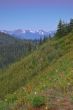 Scenic Mountain landscape