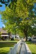 Residential neighborhood