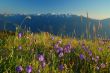 Mountain landscape