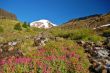 Mountain landscape
